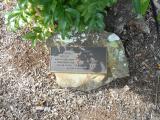 image of grave number 619070